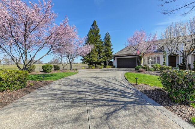 Building Photo - Stunning luxury single story home!