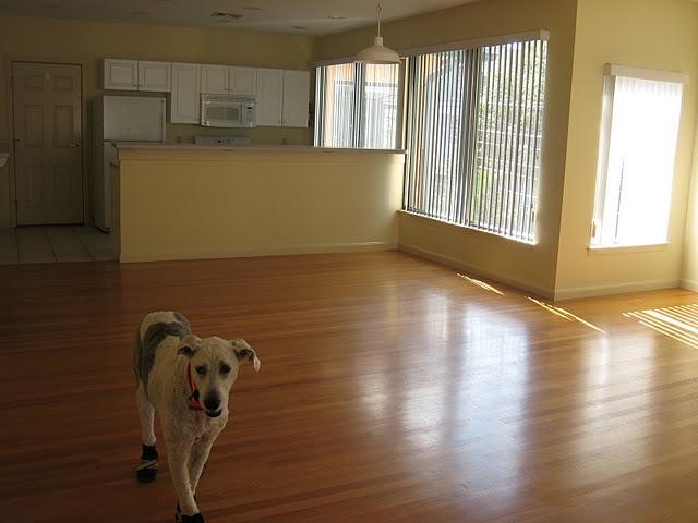 Primary Photo - 31 Channing St
