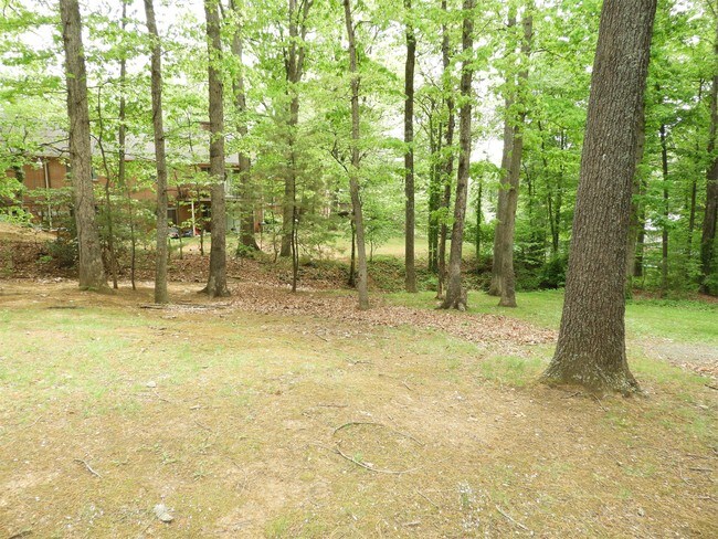 Building Photo - 1803 Inglewood Dr