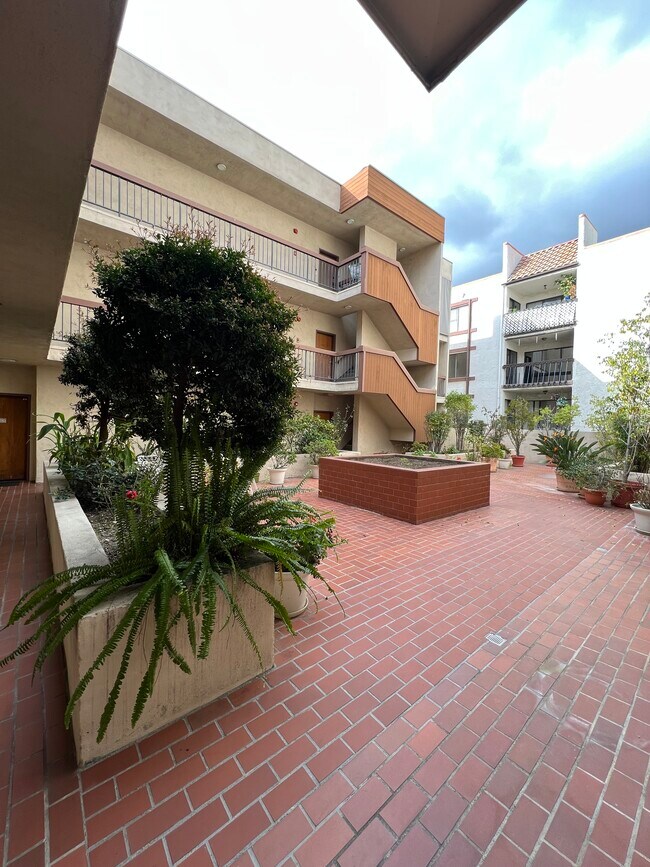 Vista del patio desde la puerta principal - 511 N Jackson St