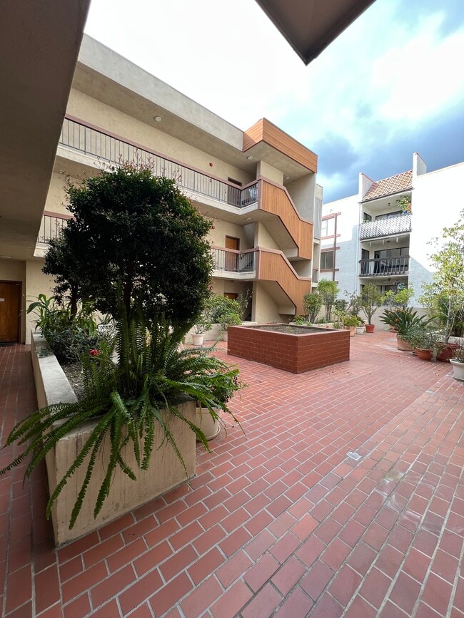 view of courtyard from front door - 511 N Jackson St