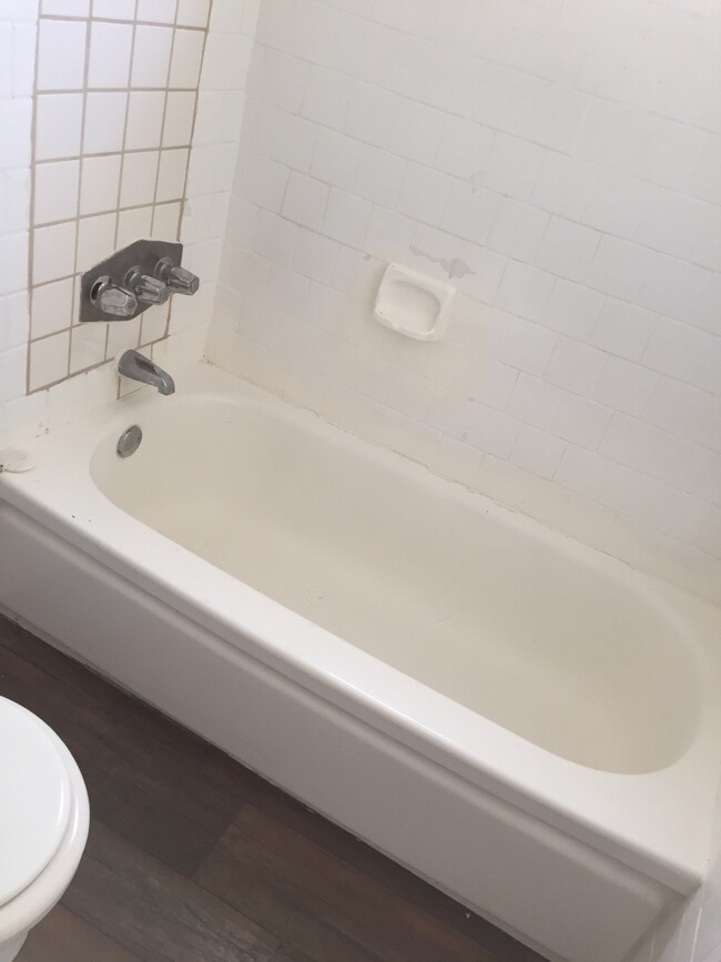 Bathtub - 1935 W Linden St