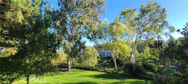 Building Photo - 4012 Calle Sonora Oeste