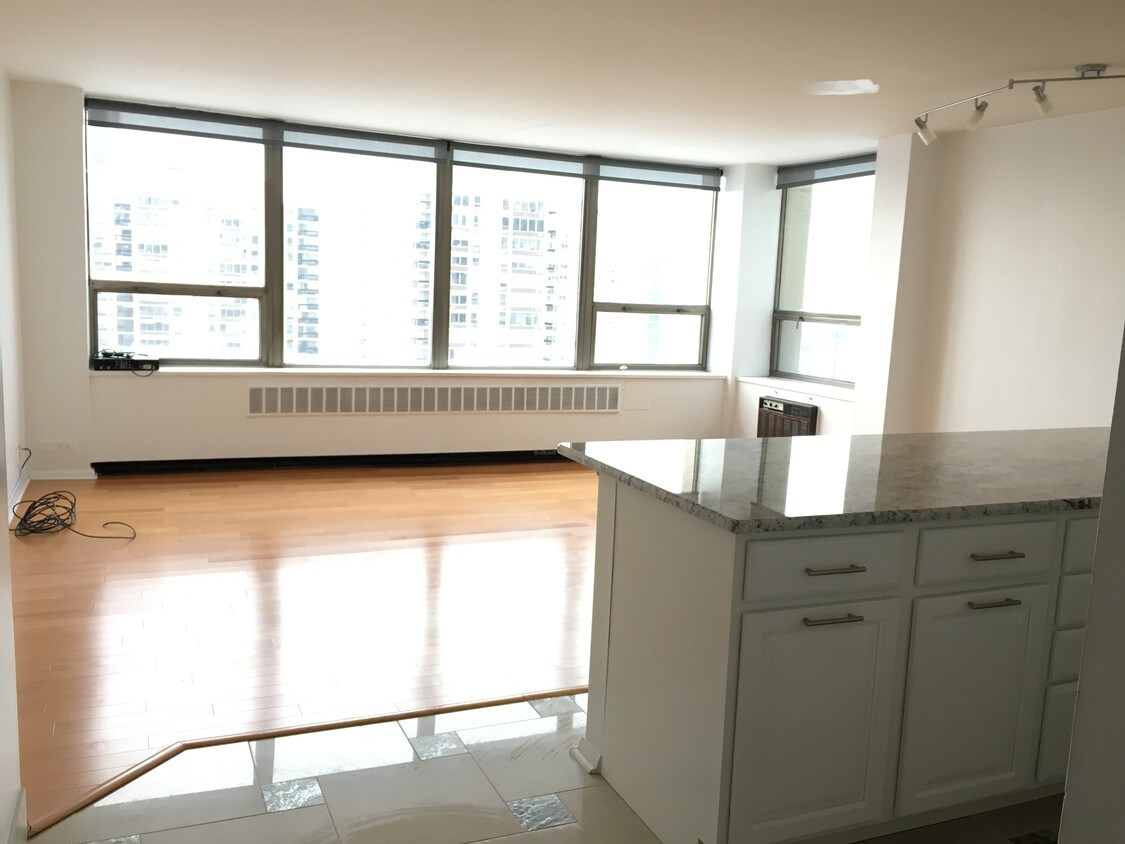 Foto principal - 1360 N Sandburg Terrace