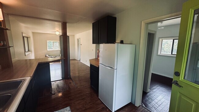 New refridgerator - 213 N Plum Ave