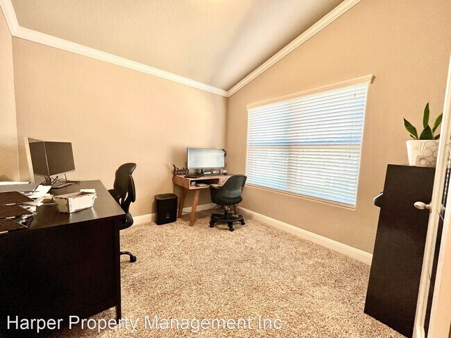 Foto del edificio - 3 br, 2 bath House - 2538 Gato Del Sol