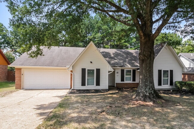 Building Photo - 1365 Sandy Stone Ln