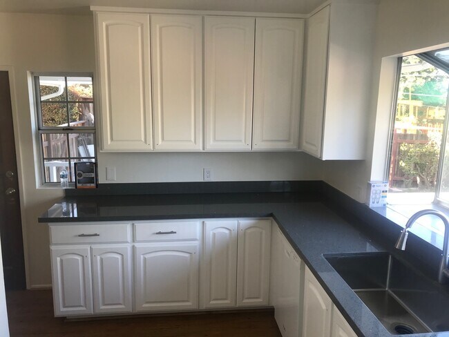 Updated Kitchen - 909 Veronica Springs Rd