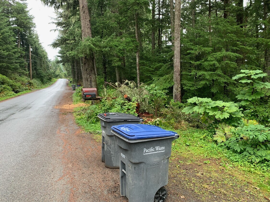 Street View and Mailbox - 1323 Mendenhall Peninsula Rd