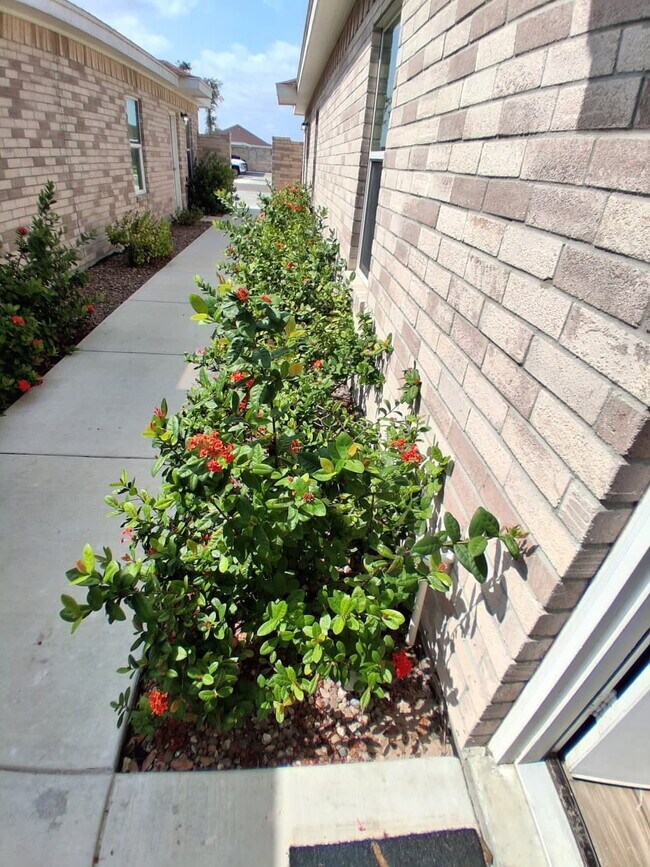 Foto del edificio - "Charming 2-Bed, 2-Bath Gem in Alton, TX - Cozy Living at 904 West Kohala!"