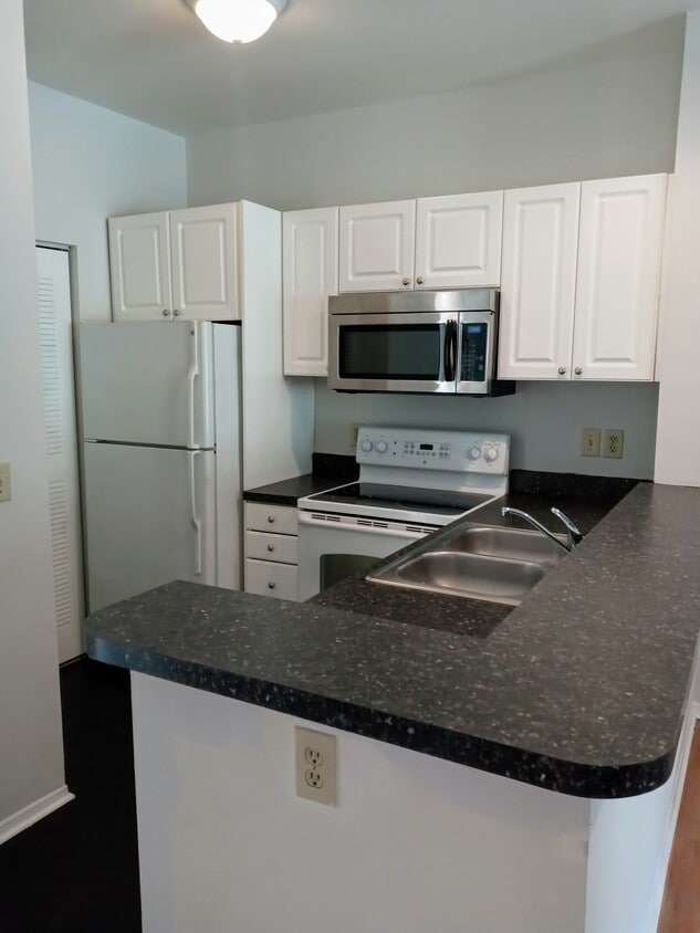 4211 Chatham Oak Ct Unit 118, Tampa, FL 33624 Condo for Rent in Tampa