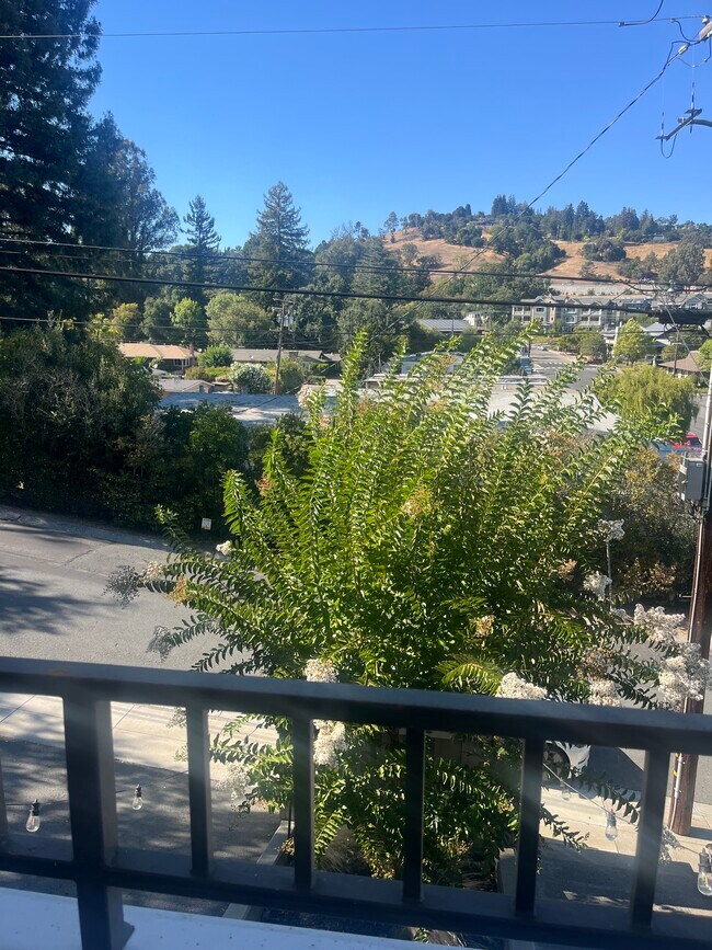 Photo - 3777 Sundale Rd Apartments