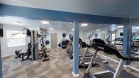 Located at Waterford Place in Hoover, Alabama, this fitness center offers a well-appointed, single-floor workout facility designed to support a variety of exercise routines. The space features a clean, modern aesthetic with light blue walls accented by bold navy hexagonal geometric wall graphics, adding a dynamic and energetic atmosphere to the room. Patterned carpeted flooring in a neutral geometric design runs throughout, providing both comfort and visual interest underfoot. The facility is equipped with multiple treadmills positioned along a full-length wall mirror, allowing users to monitor their form during cardio sessions. An elliptical trainer and a multi-function cable and weight machine round out the strength and cardio offerings. A dedicated free weight station with a dumbbell rack is visible along the back wall, offering a range of weight options for resistance training. Recessed flush-mount ceiling lights provide bright, even illumination throughout the space. A structural column near the center of the room is finished to blend seamlessly with the overall design. The layout is thoughtfully organized to maximize usable floor space while keeping equipment accessible and the environment open and comfortable for users.