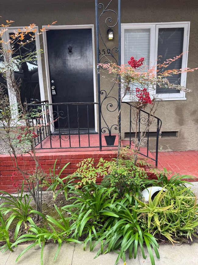 Building Photo - Remodeled 1BR Apartment Steps from Windans...