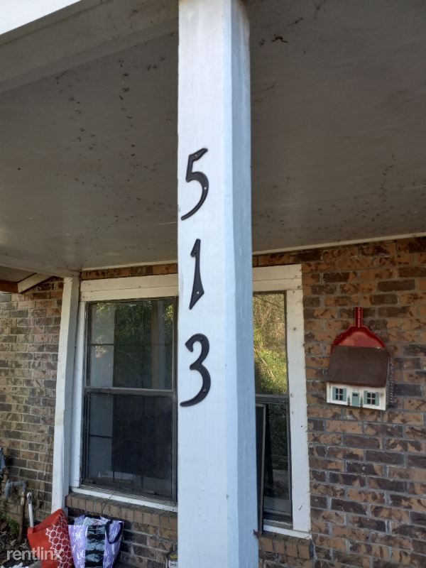 Building Photo - 3 br, 2 bath House - 513 Chestnut St B Unit B