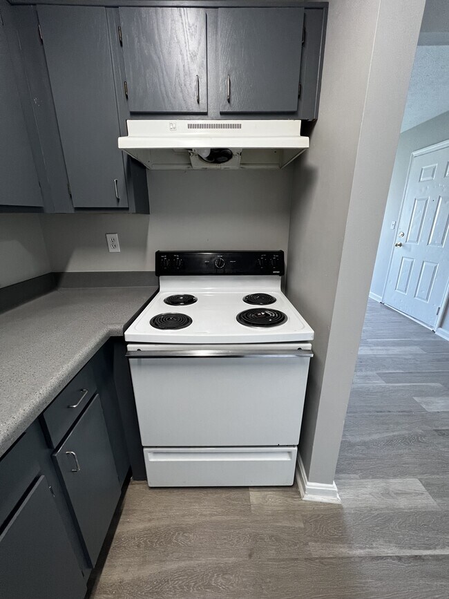 Building Photo - 4103 Blue Lick Ct