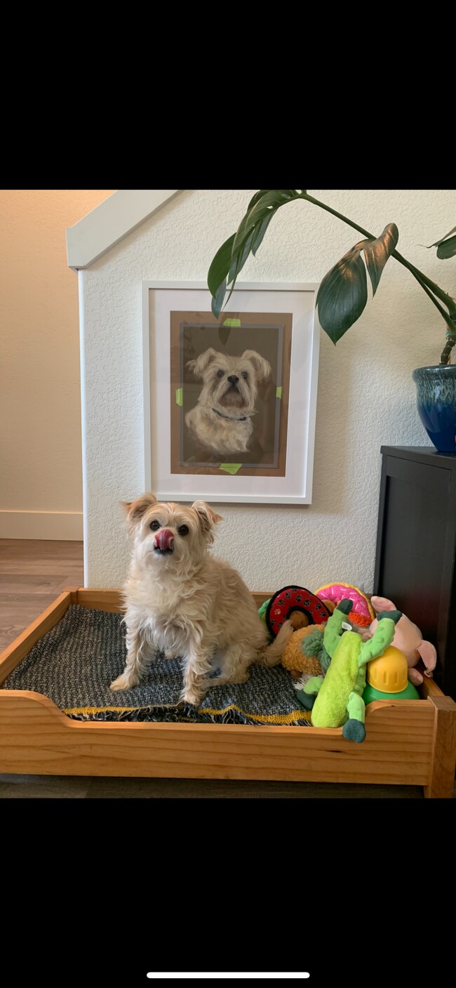 My dog Oatmeal - 12110 SE Raymond St