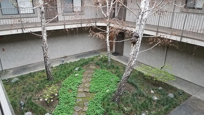 Foto del edificio - 108 N Hidalgo Ave
