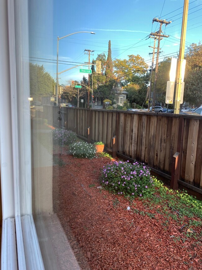 Garden - 91 E Virginia St