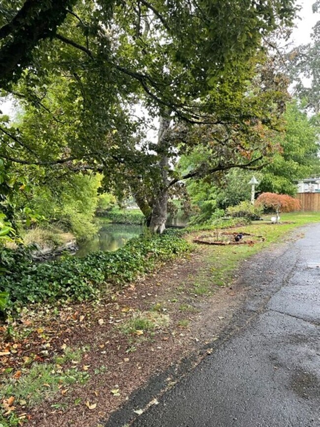 Foto del edificio - Unique 1920's home close to Capital Park a...