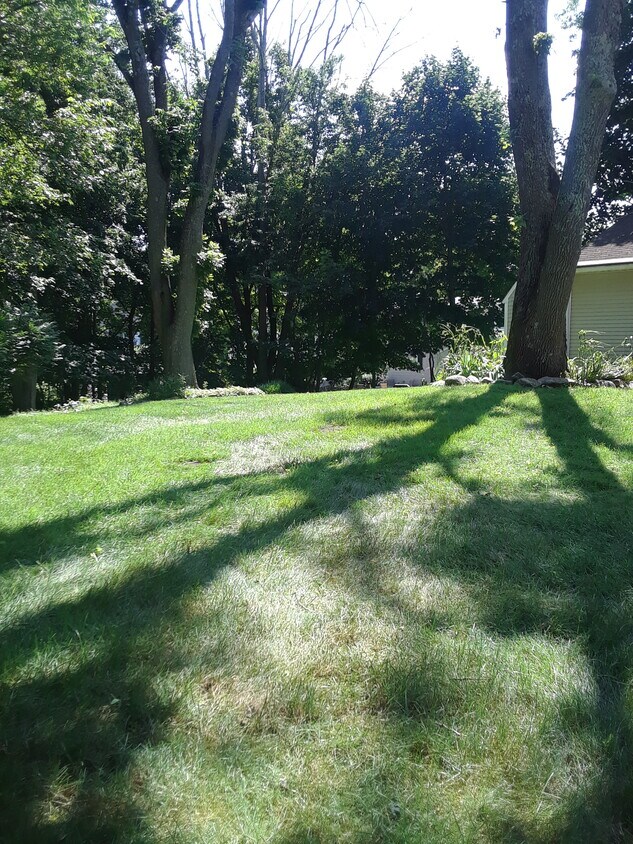 Rear yard - 37 Summit St