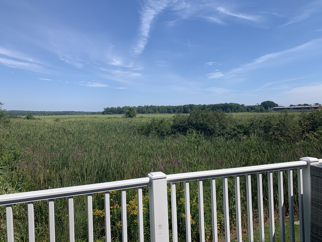 View from deck - 26 Walnut St
