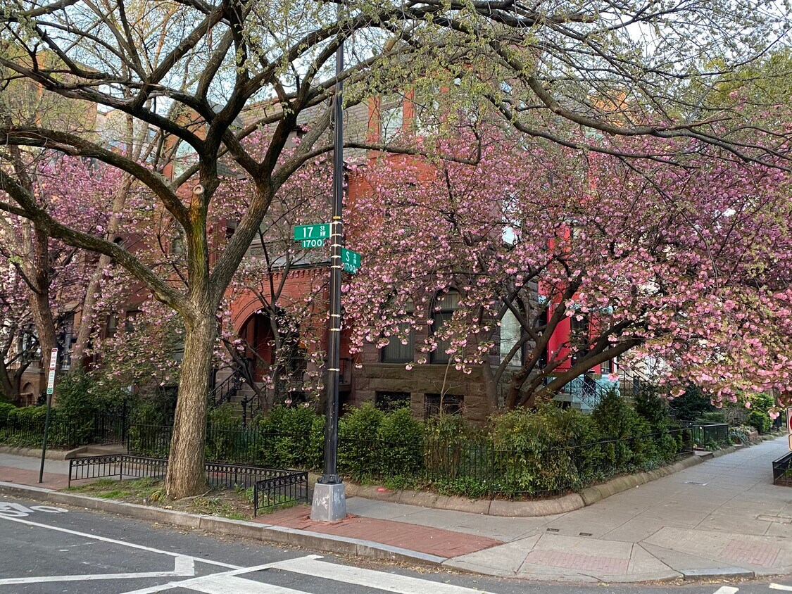 Primary Photo - 1752 17th St NW
