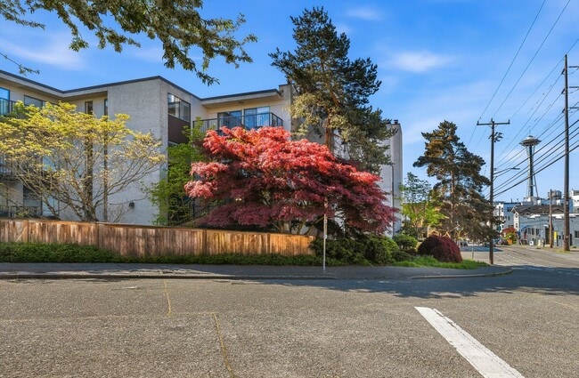 Foto del edificio - Large One bedroom condo with New Flooring, W/D, Parking, and WSG included!!