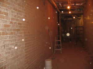 Hallway - 915 High St