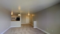 This single-floor space showcases an open-concept design that seamlessly connects the kitchen and living area, creating a functional and cohesive layout. The living area is finished with neutral-toned carpet that adds warmth underfoot, while the walls are painted in a soft greige, contributing to a calm and understated ambiance throughout.

The kitchen is positioned along one side of the space, separated from the living area by a raised breakfast bar counter, which provides both a casual dining option and a visual boundary between the two zones. White cabinetry lines the kitchen walls, complemented by a black appliance suite. A pendant light hangs above the counter, providing focused task lighting and adding a subtle decorative touch.

The living area is generously sized, offering flexibility for various furniture arrangements. An additional flush-mount ceiling light provides ambient illumination. White baseboards frame the perimeter of the space, providing clean contrast against the neutral walls and carpet. A doorway visible at the far end of the space suggests access to additional rooms or an entryway, rounding out this practical and efficiently designed single-floor layout.