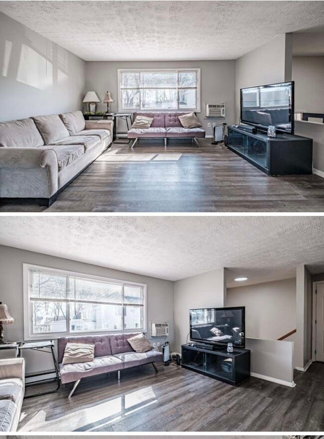 Shared family room - 10 Morgan Ct