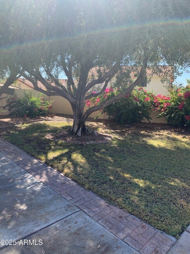 Foto del edificio - 435 E Larkspur Ln