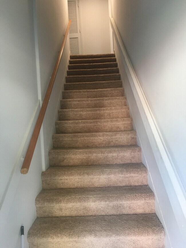 306 E Burwell Ave, Knoxville, TN 37917 Townhome Rentals in Knoxville