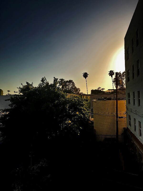 Foto del edificio - 1523 N McCadden Pl
