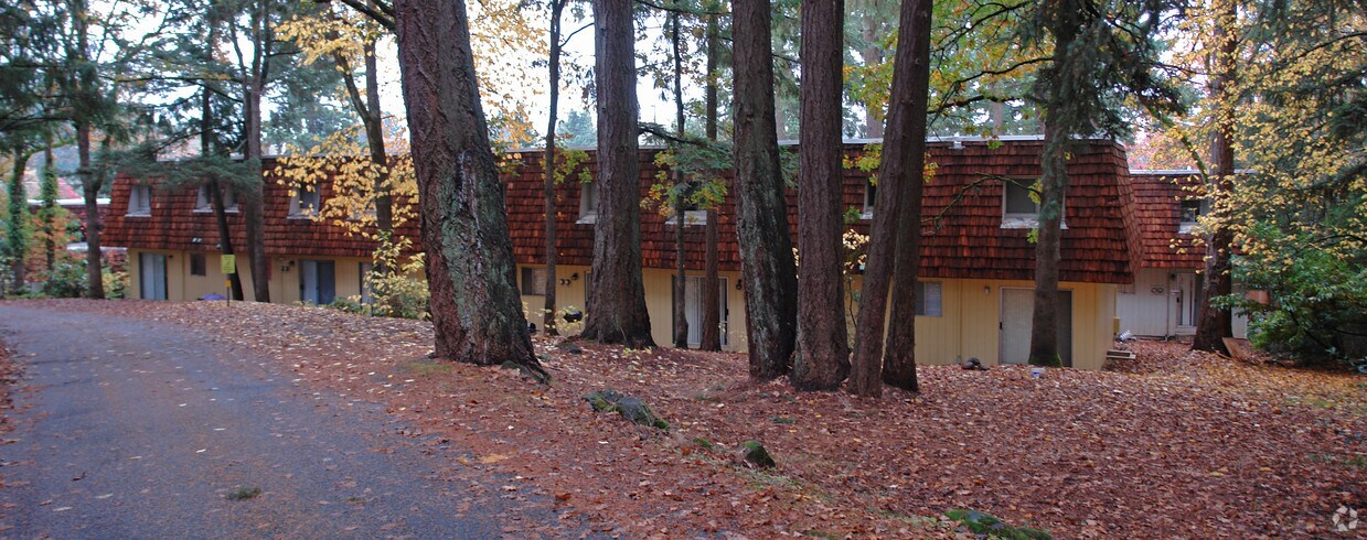 Primary Photo - Woodland Terrace