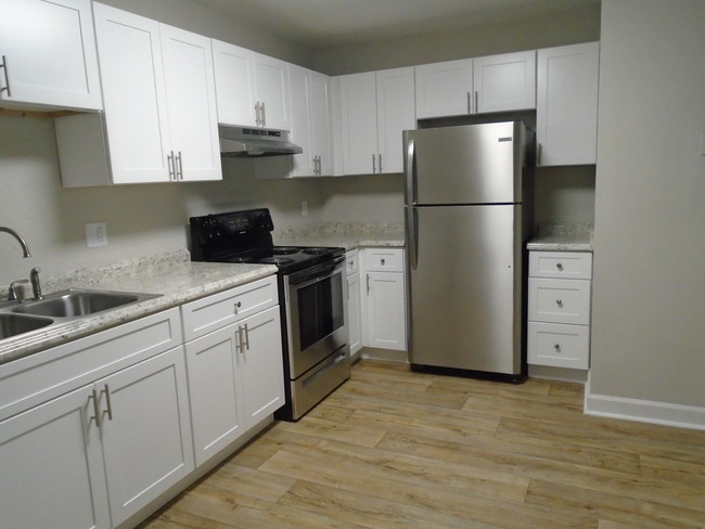 Newly renovated 1 bedroom kitchen - Kingwood