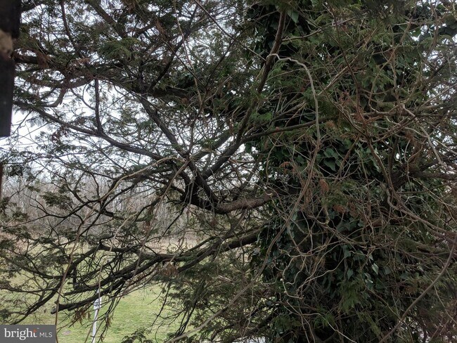 Foto del edificio - 40 N Rosedale St