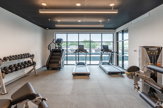 Gimnasio - Zang Flats