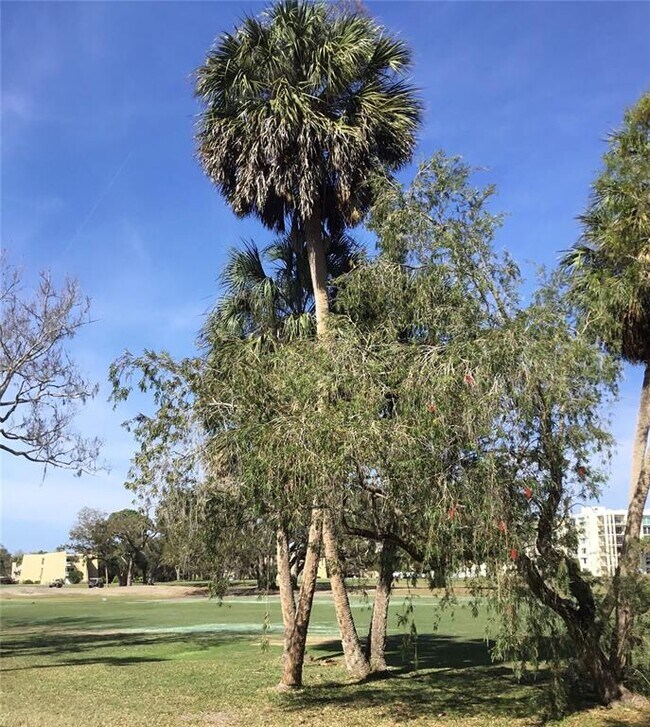 Foto del edificio - 48 Country Club Dr