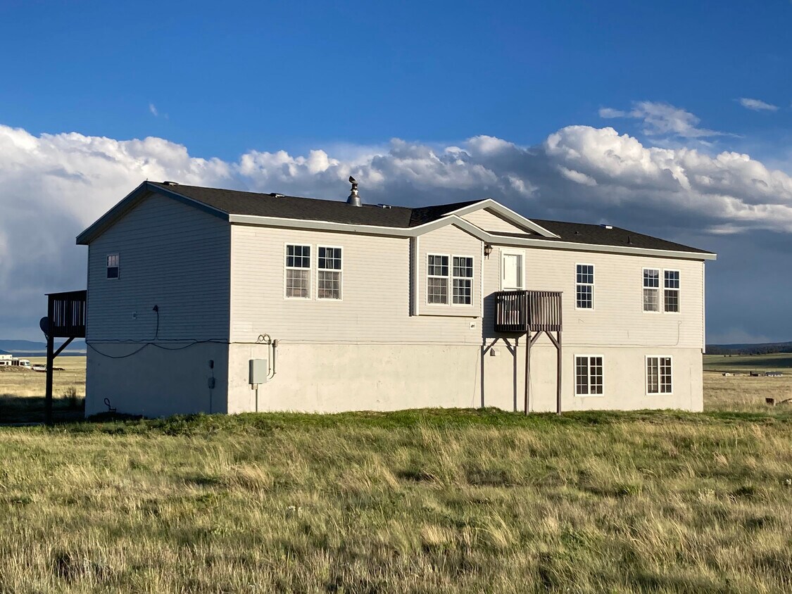 136 Black Knat Rd, Fairplay, CO 80440 House Rental in Fairplay, CO