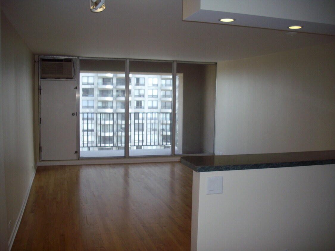 Living Room - 1960 N Lincoln Park W