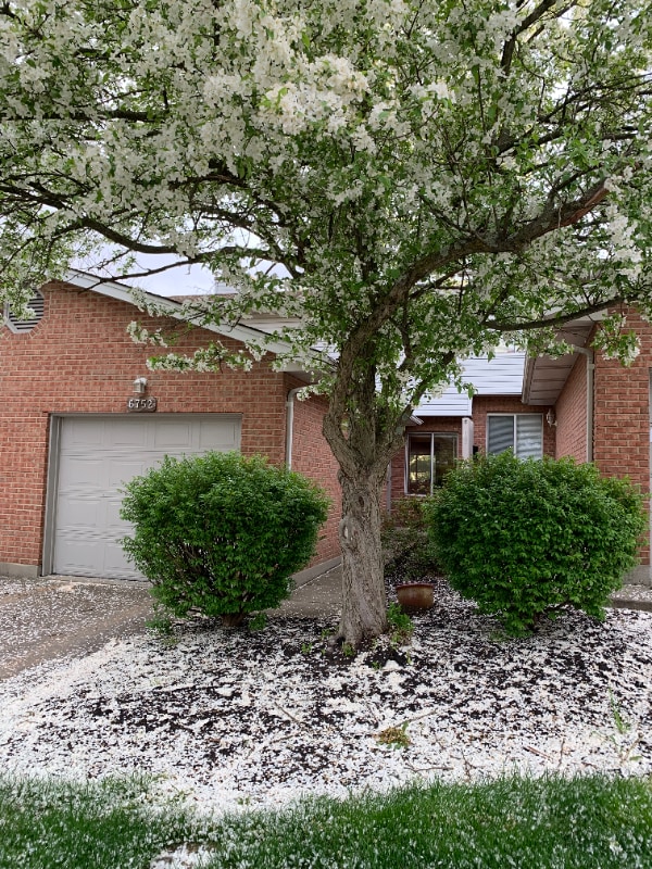 Photo - 6752 Ashley Ct Townhome
