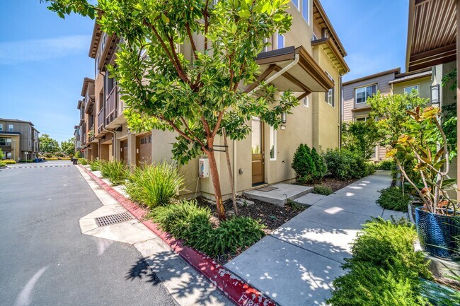 Foto del edificio - Coming soon - 2Bed/2.5Bath TOWNHOUSE FOR RENT IN MILPITAS - $3,850/mo