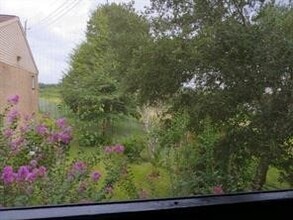 Building Photo - 10555 Turtlewood Ct