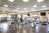 Located at 500 Peconic St in Ronkonkoma, NY, this fitness center offers a well-equipped, single-floor facility designed to support a full range of workout routines. The space features a spacious main exercise area with durable speckled flooring throughout, providing a clean and functional surface ideal for high-traffic use. The ceiling is elevated with a tray-style design accented by dark wood crown molding, contributing to an open and airy atmosphere.

Natural light flows in generously through multiple windows dressed with decorative valances, complemented by recessed and flush-mounted panel lighting that ensures consistent illumination across the floor. The cardio section is prominently outfitted with a row of treadmills, elliptical trainers, and stationary bikes — all from the True Fitness brand — each positioned in front of wall-mounted flat-screen televisions for an engaging workout experience.

The strength training area includes a multi-station cable machine, a full rack of dumbbells spanning a wide weight range, and additional resistance equipment. A large wall mirror in the free weights section enhances the sense of space while supporting proper form. A compact kitchenette with warm wood cabinetry, a stainless steel sink, microwave, and countertop space provides added convenience for users of the facility.