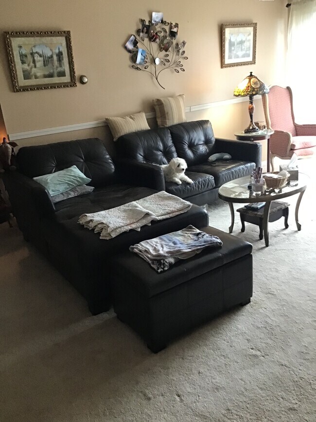 Updated Paint color - 333 Forest Green Dr
