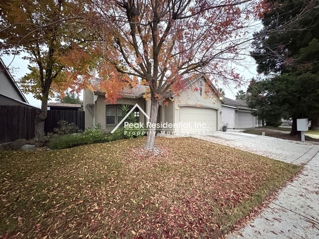 Foto del edificio - Wonderful North Natomas 3bd/2ba House