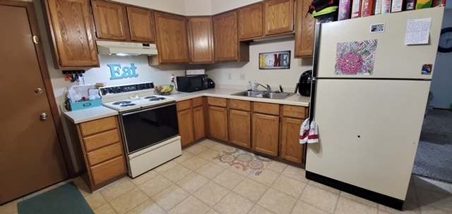 Kitchen (under remodel - handles added, new flooring) - 1007 E Elm Dr