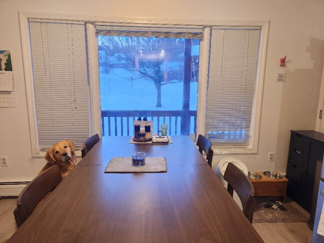 Foto del edificio - 205 Forest Dr