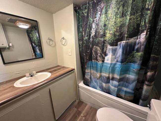 Building Photo - 2 bedroom 1 bath in park